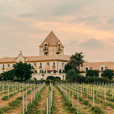 Irada Wine Tour