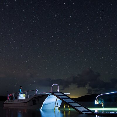Isla Nena Bio Bay Boat Tours