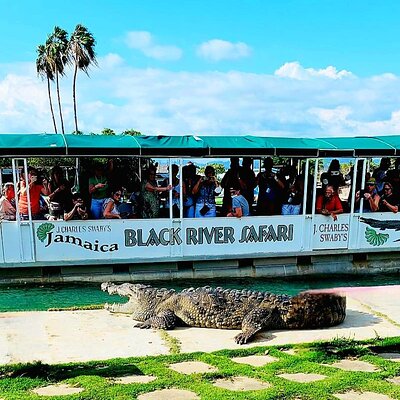 J. Charles Swaby's Black River Safari