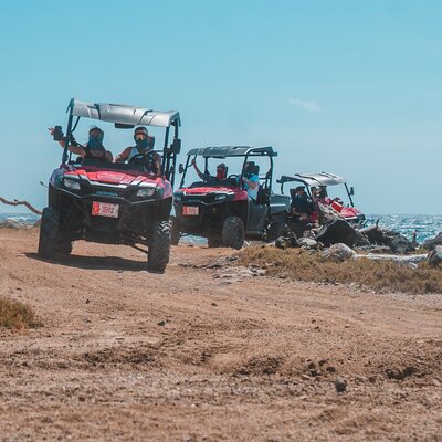 Kini Kini Transfer & Tours