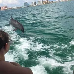 Little Toot Dolphin Adventures