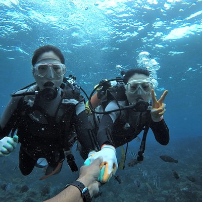 モルダイブ (MalDive)