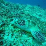 mandalika Tourism