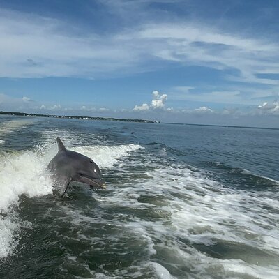 Marine Adventures 30A