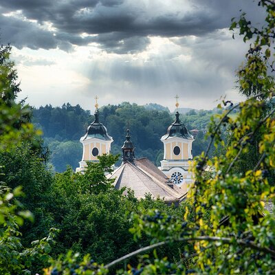 MCM Tours & Travel Salzburg, Austria