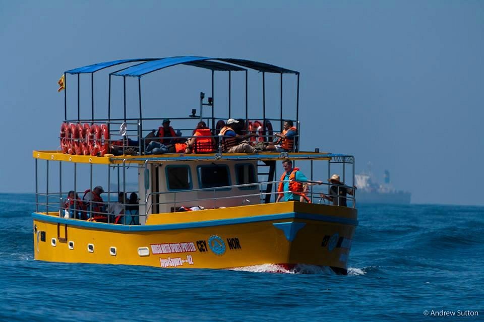 Mirissa Water Sports