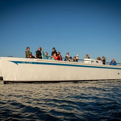 Monterey Bay Eco Tours