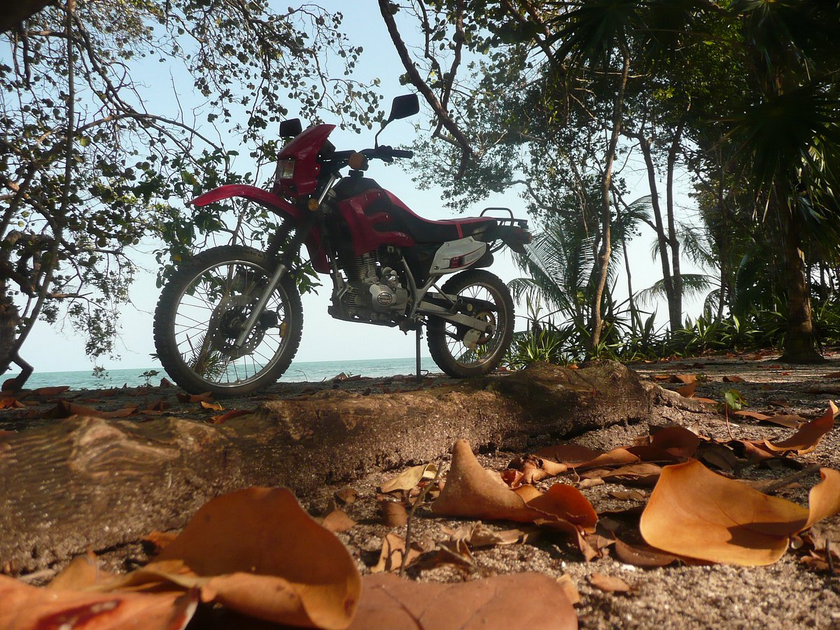 Motorbike Rentals Alternate Adventures