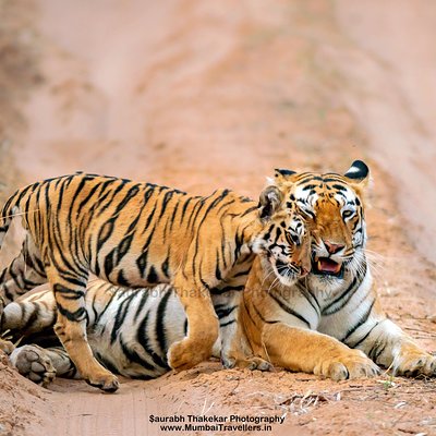 Nature Explorers India