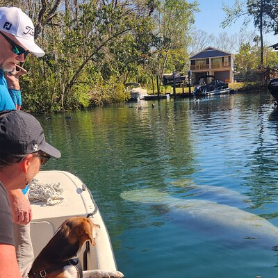 Nature's Discovery - Manatee Swim Tours