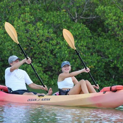 Nauti Exposures