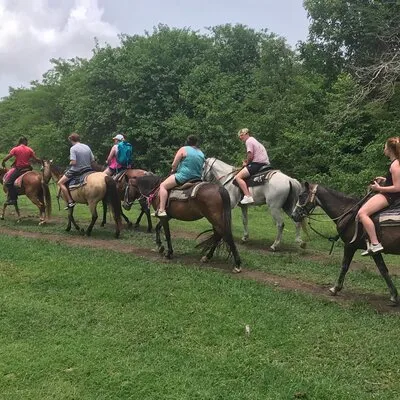 Nick's Scenic Equine Tours