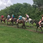 Nick's Scenic Equine Tours