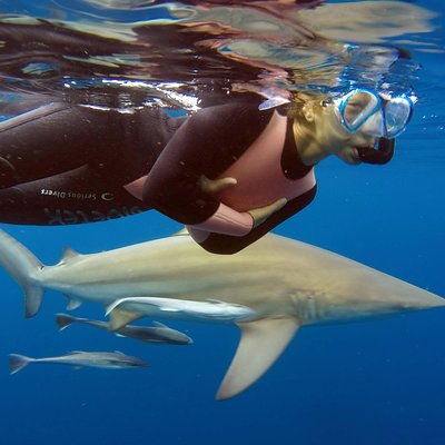 Oceans Discovery CC