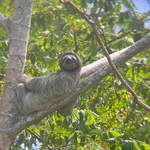 Panama Experience Tours