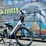 The Pedaler