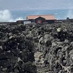 Pico Wine Tours
