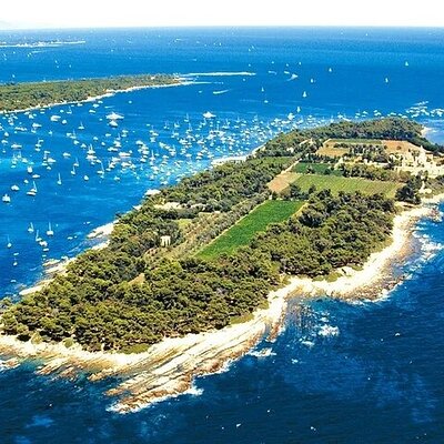 Provence Tours - French Riviera Tours - N°1 Private Minivan Tours - Best Professional Guides