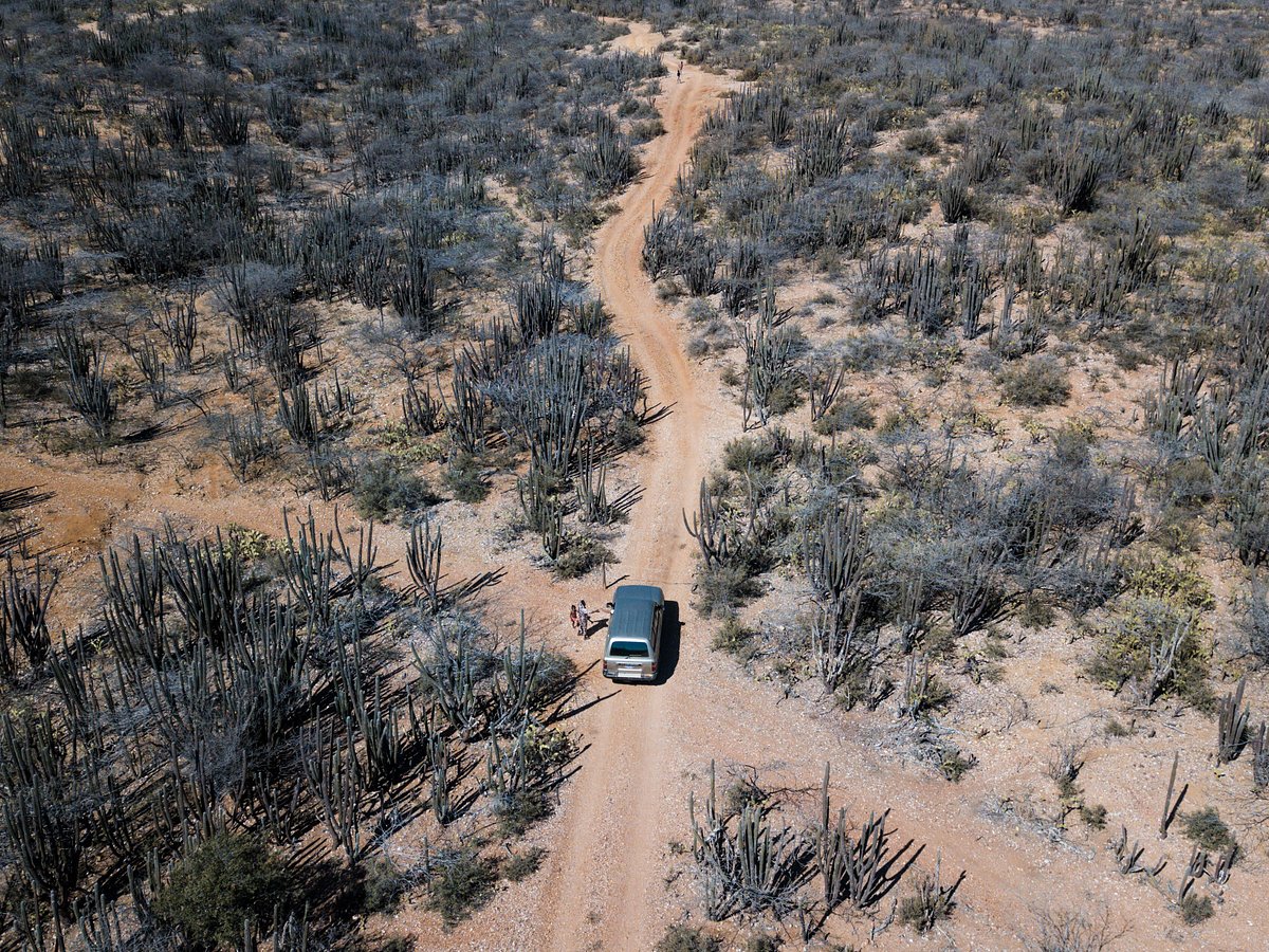Pura Guajira Travel