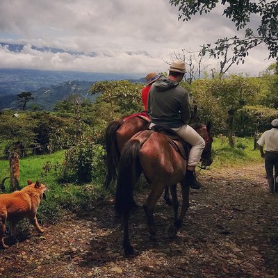 Queveri Horseback Riding Tours