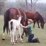Red Hill Ranch Adventures