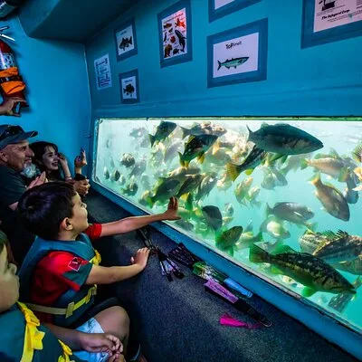 Redondo Glass Bottom Boat