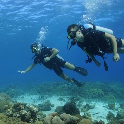 Scubaçao Diving Adventures