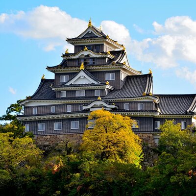 Snow Monkey Resorts Tours (Machinovate Japan Ltd.)
