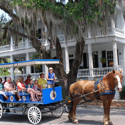 Southurn Rose Carriage Tours