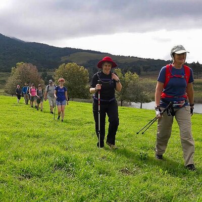 Spekboom Tours