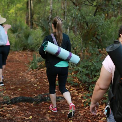 Springs To Sea Old Florida Eco Tours