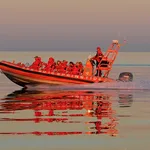 SpringTide Whale Watching  Tours