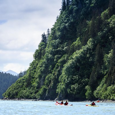 Sunny Cove Kayaking
