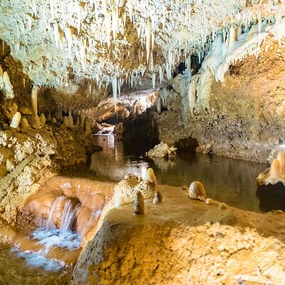 SunTours Barbados