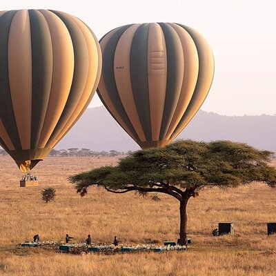 Tanzania Serengeti Safaris