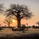 Tatanca Safaris & Tours