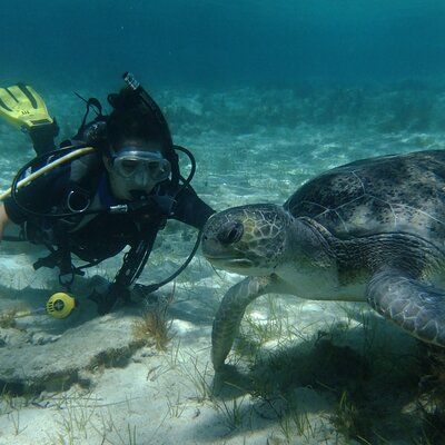Tempo Divers Freediving & Scuba
