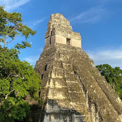 Tikal Express