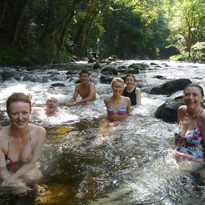 Tony's Tropical Tours