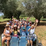 Tour dell'olio