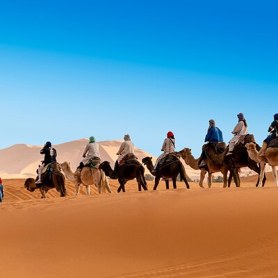 Tour Dunes