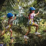 Treetops Adventure Dwellingup