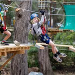 Treetops Canberra