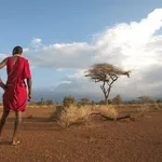 Trektales Tourtravels Limited