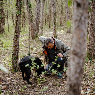 Truffle hunting and Truffle Brunch