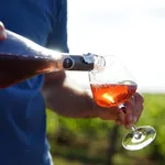 VinoLoire wine tours