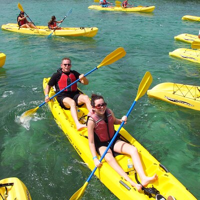 Virgin Islands Ecotours