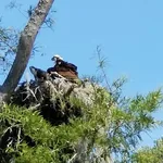 Waccamaw River Tours