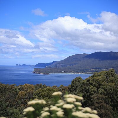 Wild Escapes Tasmania