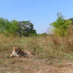 Wildlife Rescue Center Tours